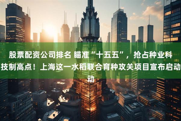 股票配资公司排名 瞄准“十五五”，抢占种业科技制高点！上海这一水稻联合育种攻关项目宣布启动